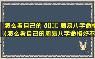 怎么看自己的 🍀 周易八字命格（怎么看自己的周易八字命格好不好 🐈 ）